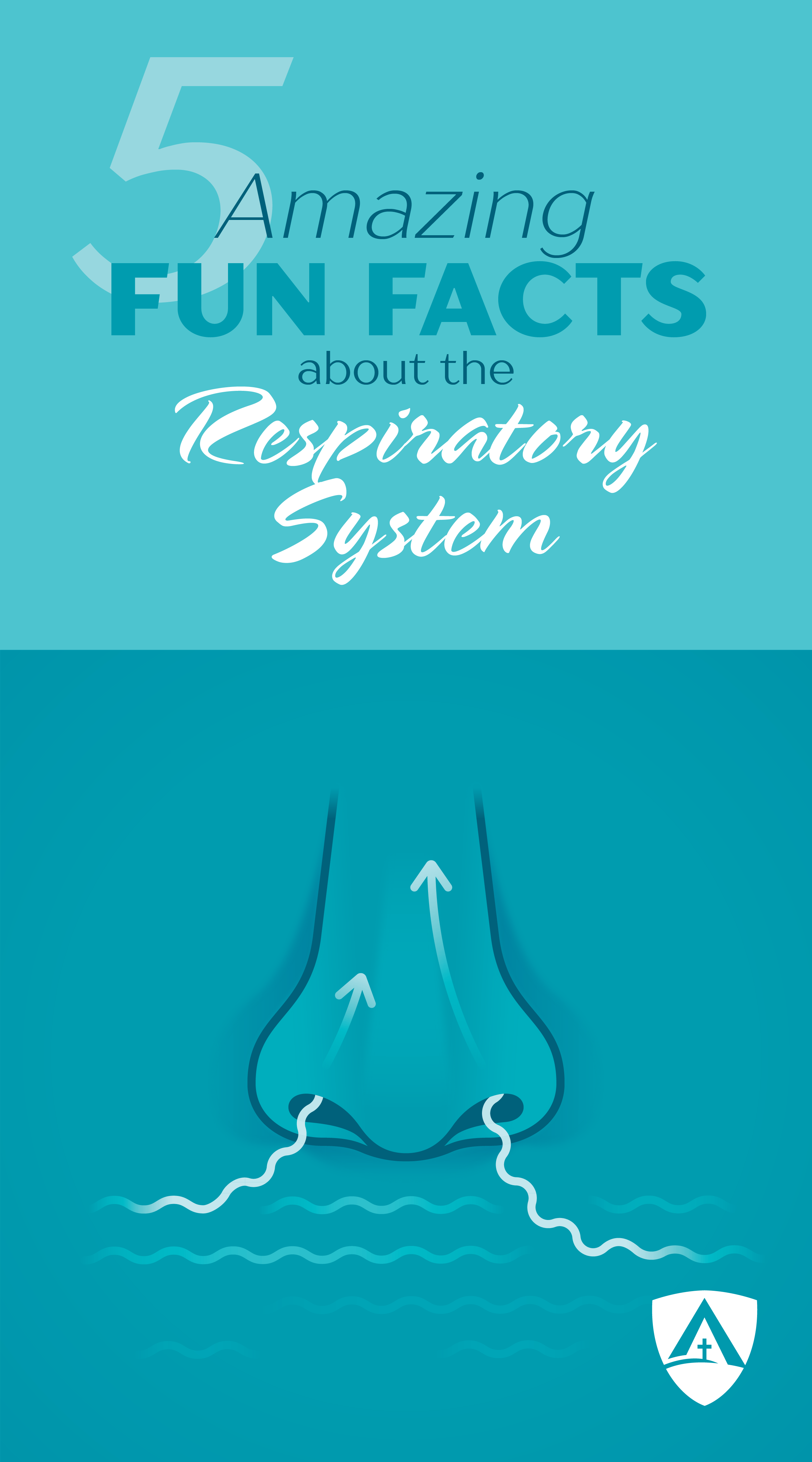 Every Breath You Take Five Amazing Facts About Your Respiratory System