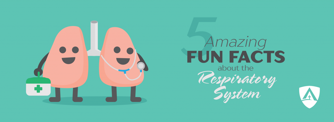 5 Amazing Fun Facts about the Respiratory System