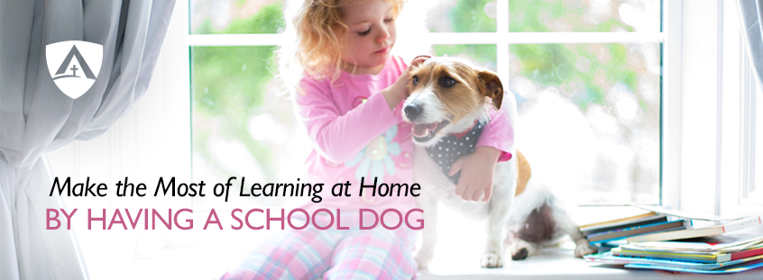 Make the Most of Learning at Home by Having a School Dog